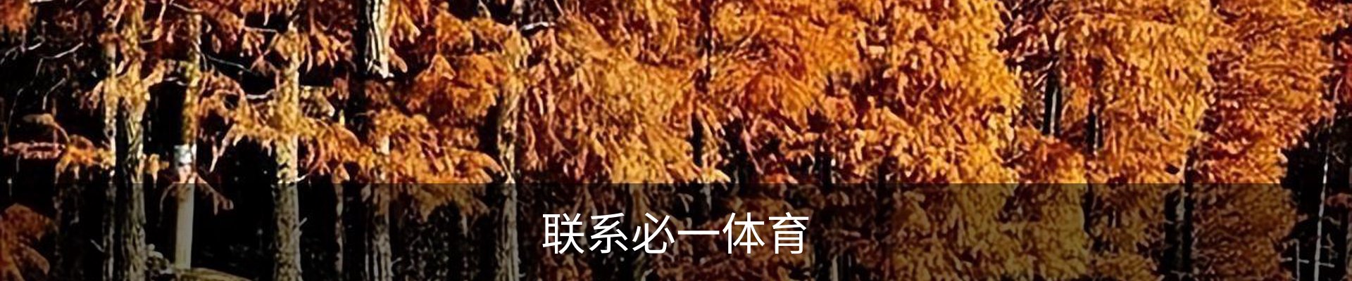 联系必一体育
